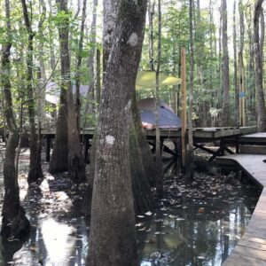 Beaver Lodge Camp Site