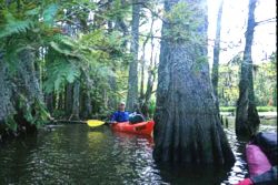 Scott & Friends paddle 40 miles and love it!