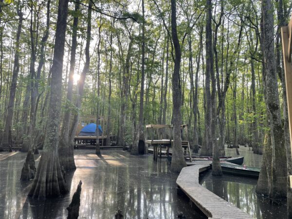 Beaver Lodge - Image 16