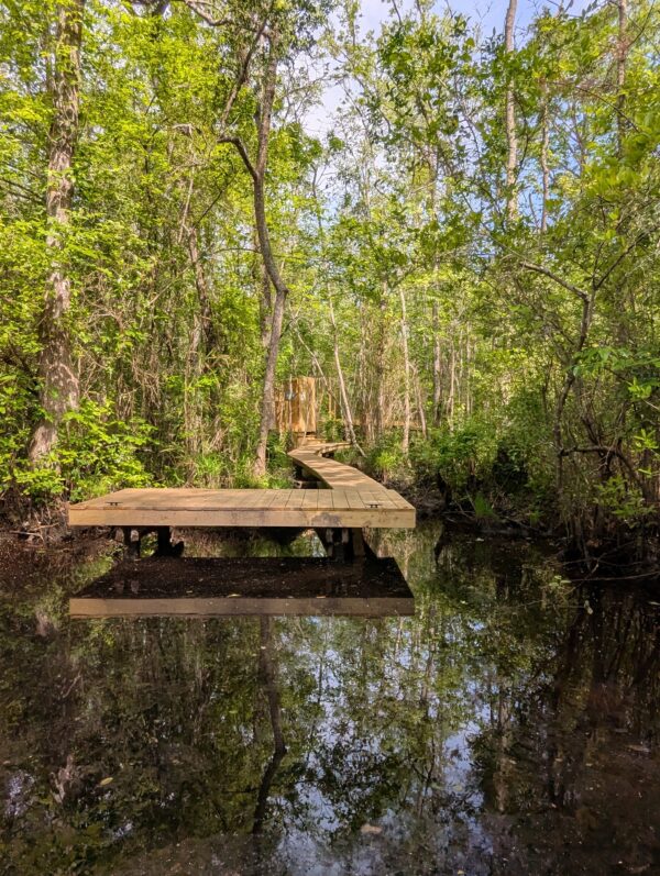 Lost Boat - Image 5