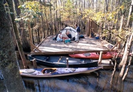 barred owl roost, canoes next to platform