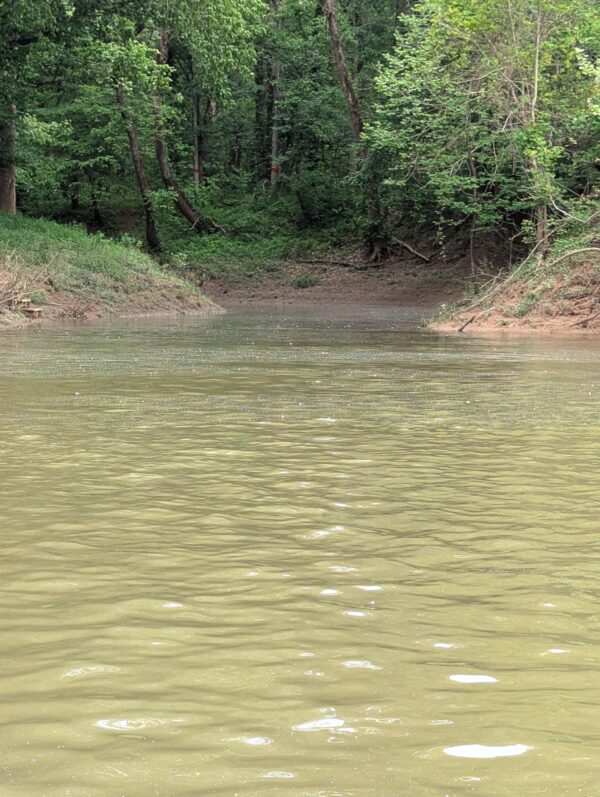 Cooke's Landing - Image 5