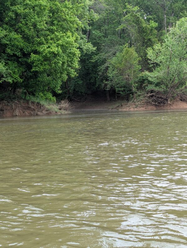Cooke's Landing - Image 4